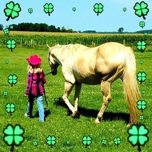 Meet your Posher, Edith